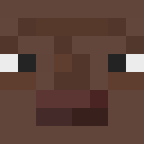 jevfacespume